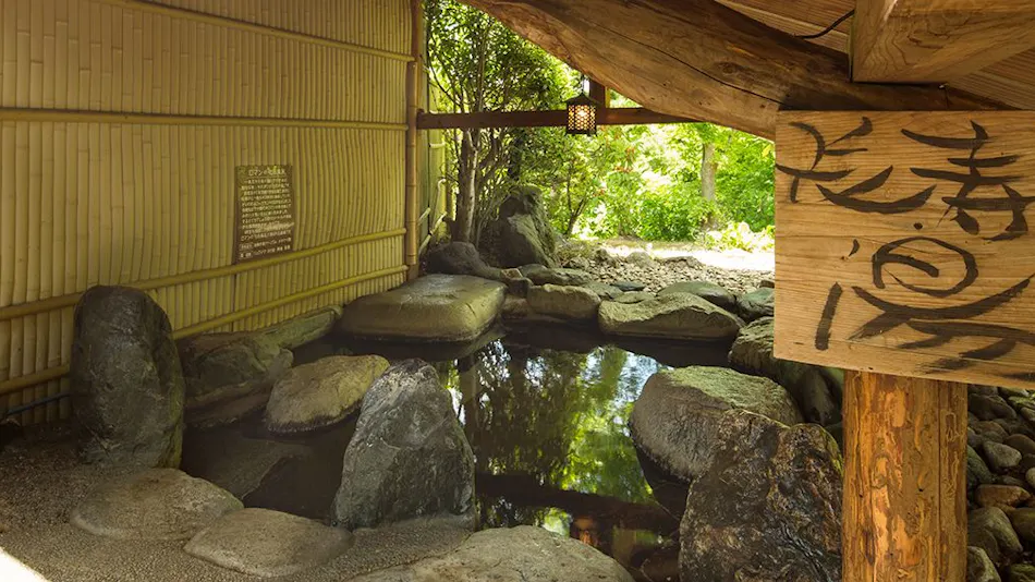 Hidden Hot Spring Inn Takimien