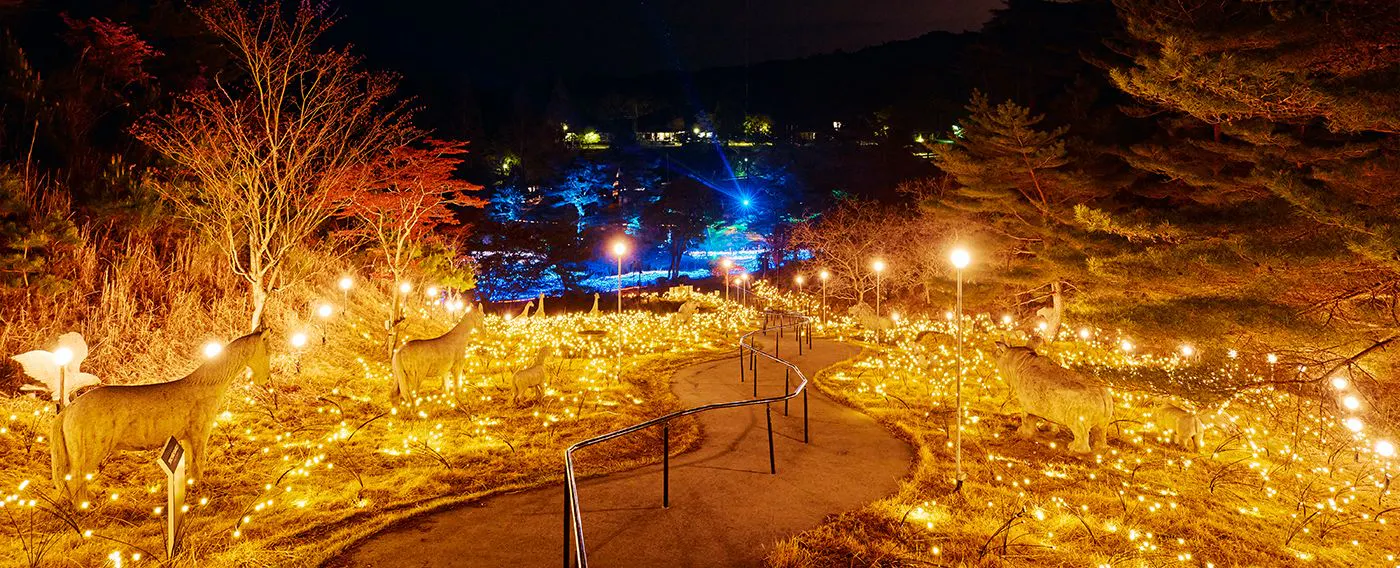 ไฟประดับ