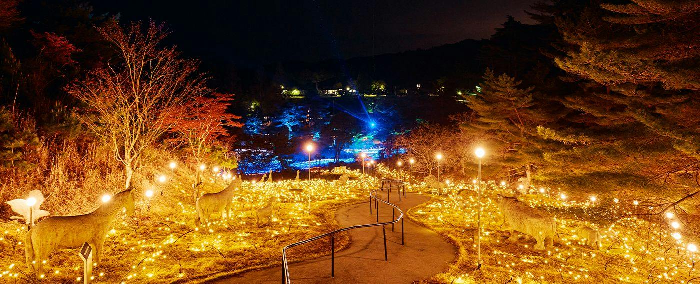 GRAX PREMIUM CAMP RESORT Kyoto Rurikei