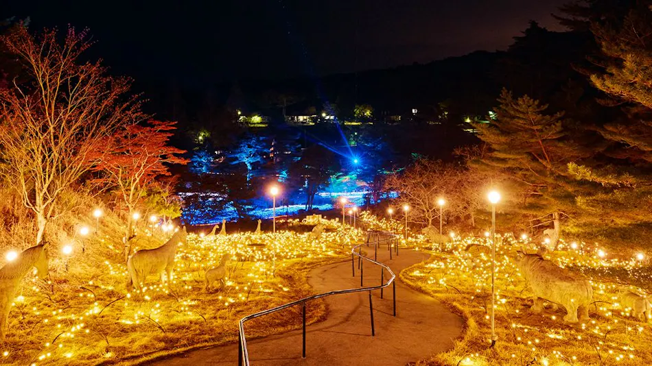 GRAX PREMIUM CAMP RESORT Kyoto Rurikei