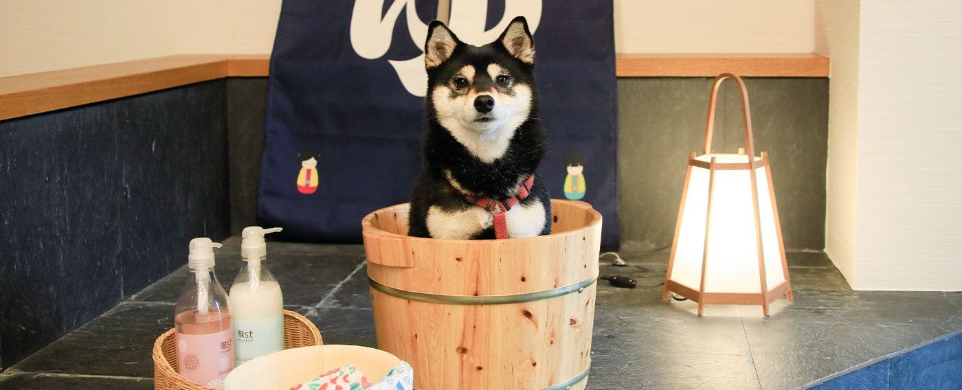 Tempat bergambar yang menarik