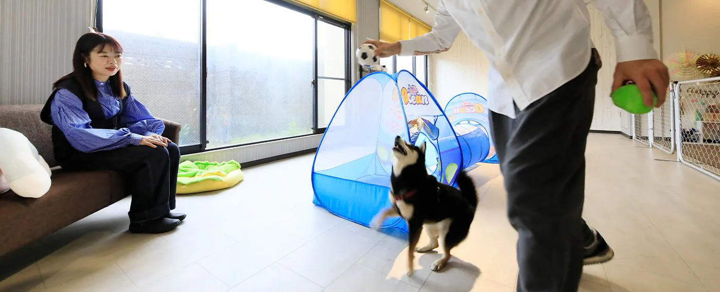 Taman permainan dalaman