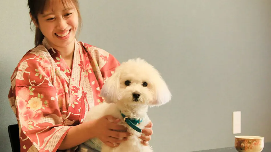 Yururi Nishi-Izu: A Hot Spring Inn Where You Can Stay with Your Beloved Dog