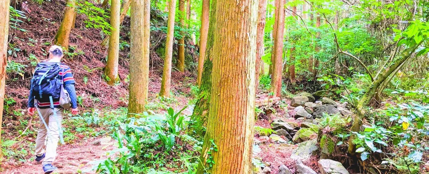 ภาพการเดินป่า