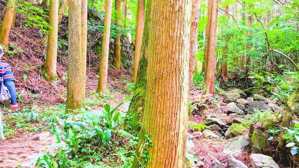Fukuoka Hotel & Resort Glamping The Retreat