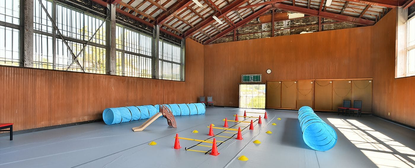 สนามฝึกสุนัขในร่ม