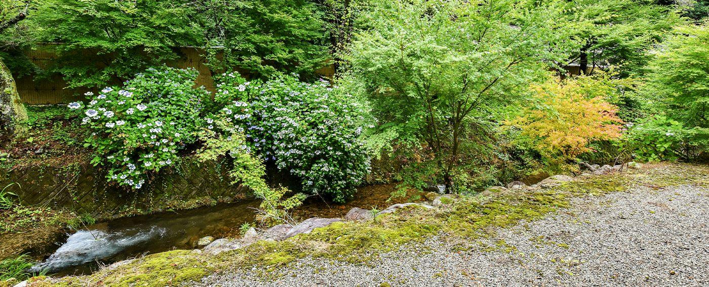 Ryokan Izumiso