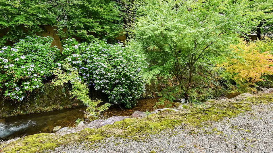 Ryokan Izumiso