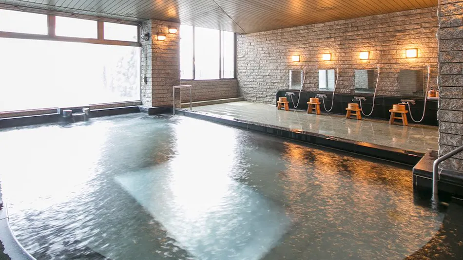 Hotel de Marronnier Gero Onsen
