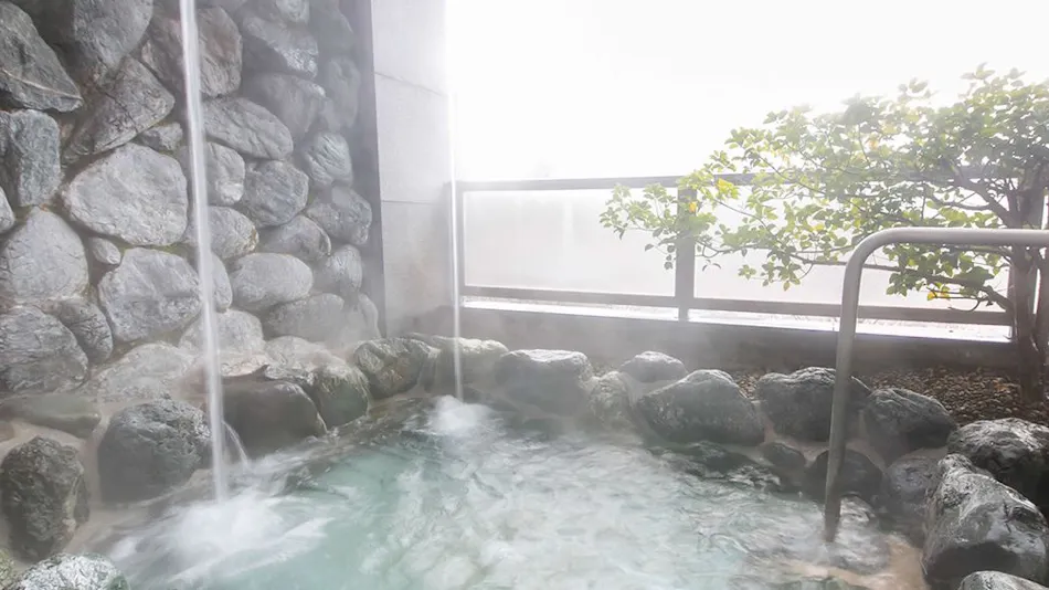 Hotel de Marronnier Gero Onsen