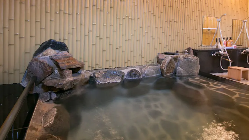 Hotel de Marronnier Gero Onsen