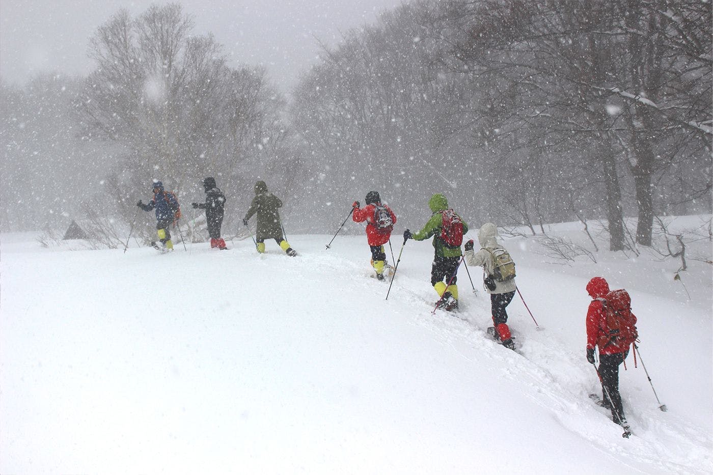 활동: 스노슈잉