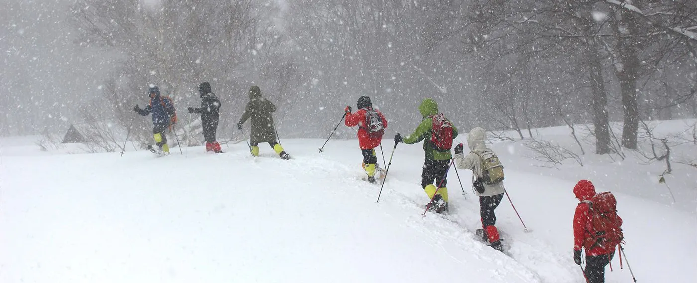 활동: 스노슈잉