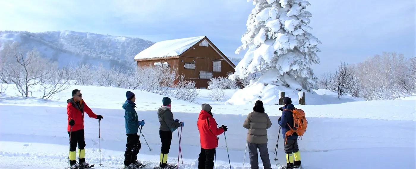 활동: 스노슈잉