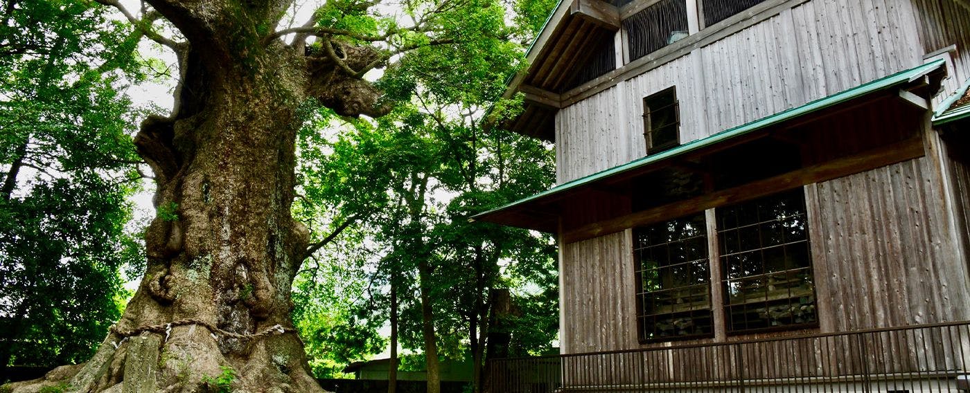 ศาลเจ้าคาวาซุ คิโนมิยะ