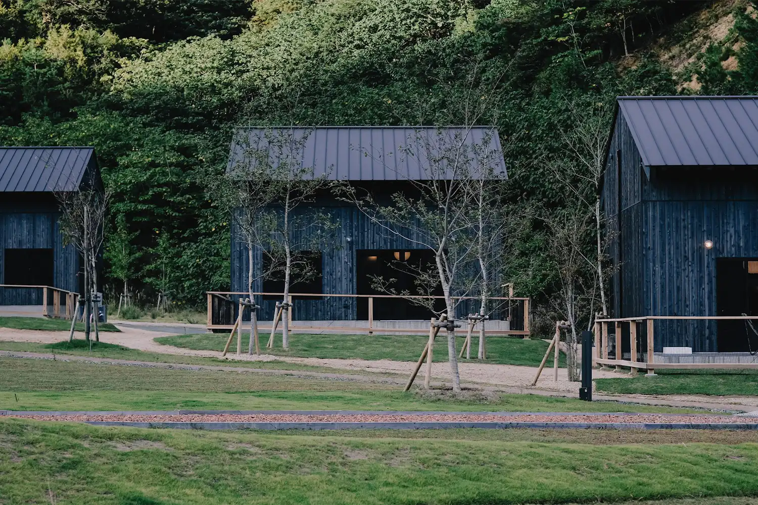 ลักษณะภายนอก