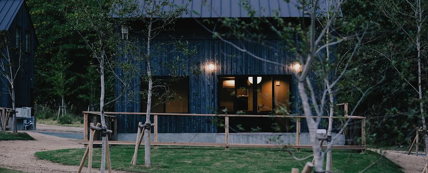 รูปลักษณ์ภายนอก