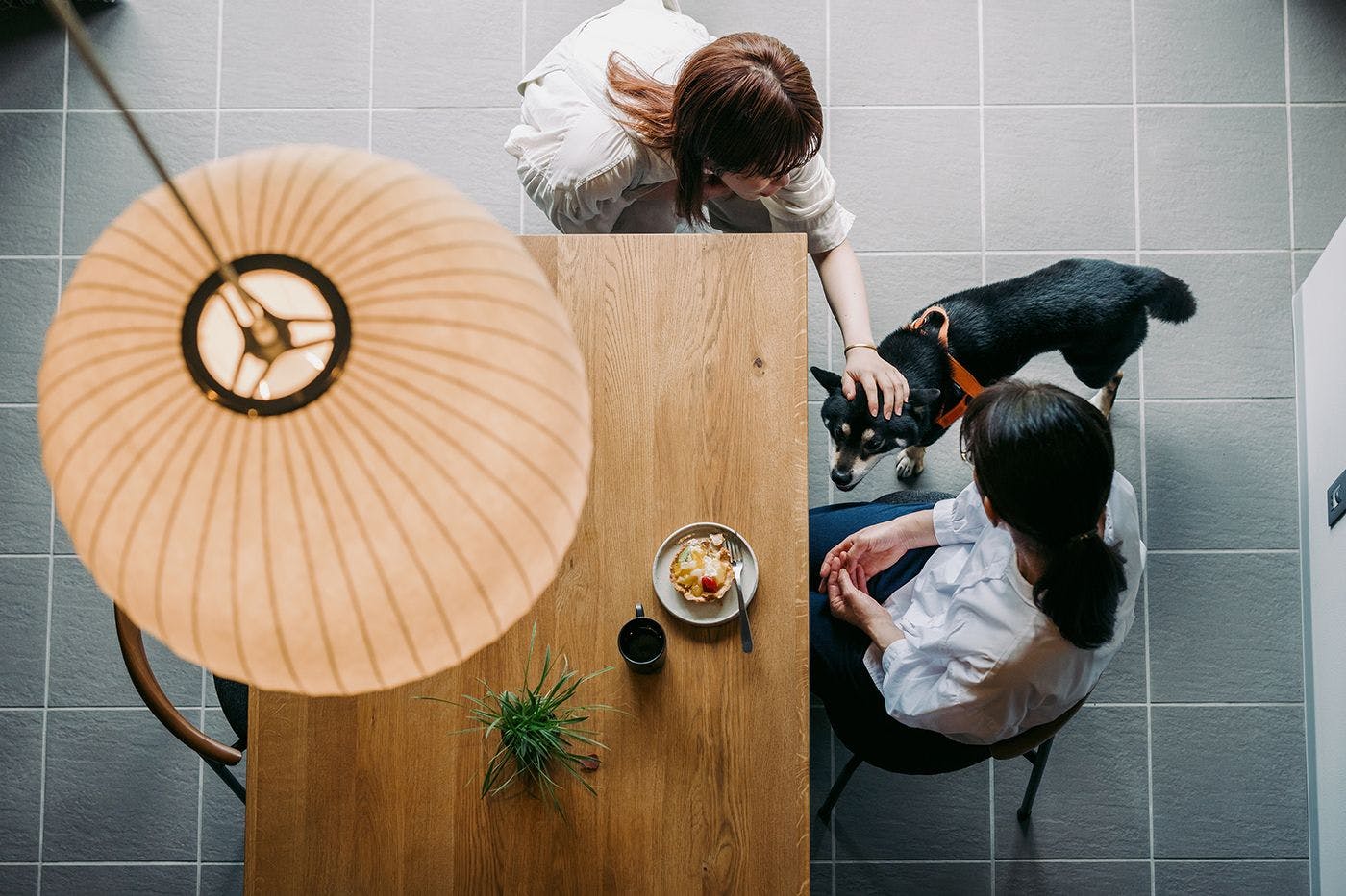 ภาพลักษณ์การเข้าพัก