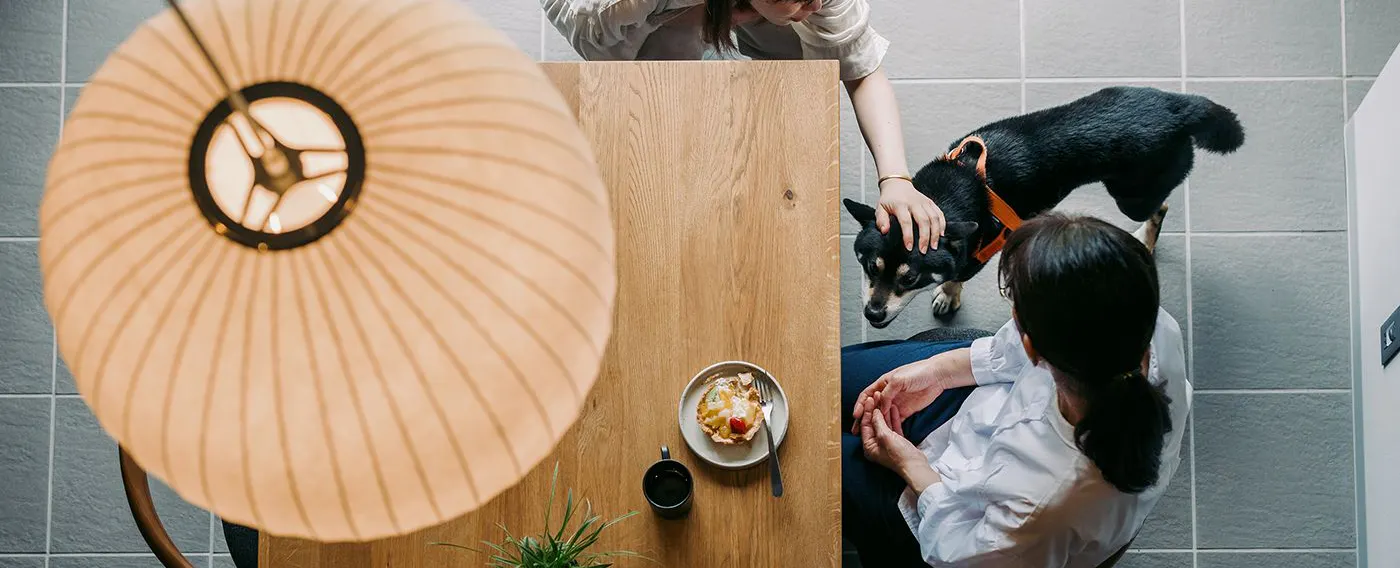 ภาพลักษณ์การเข้าพัก