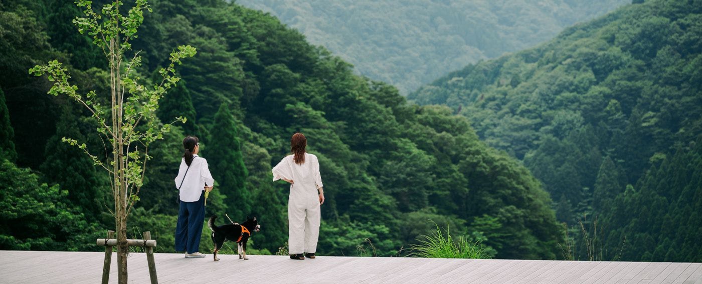 ภาพลักษณ์การเข้าพัก