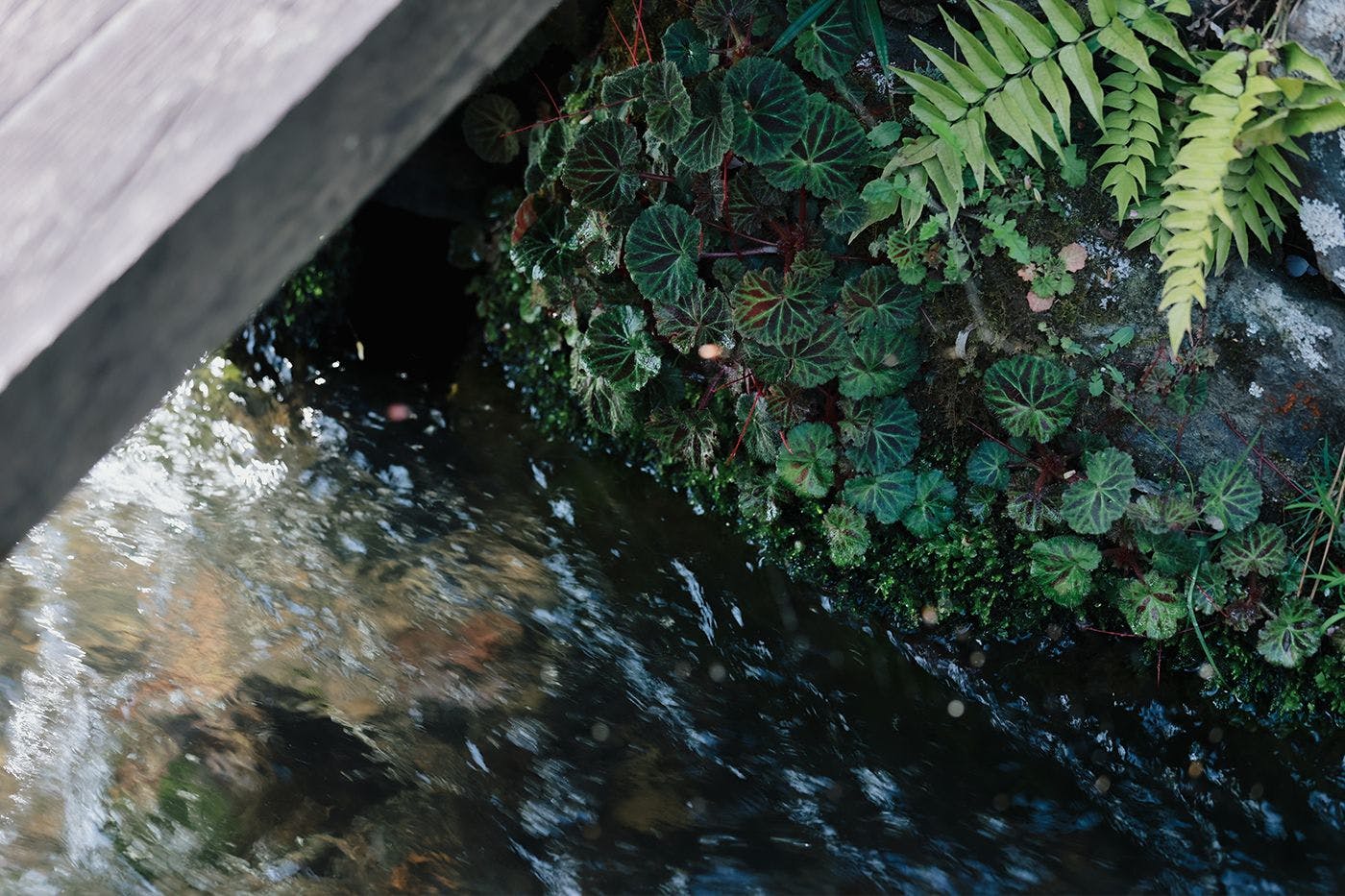 บริเวณโดยรอบ