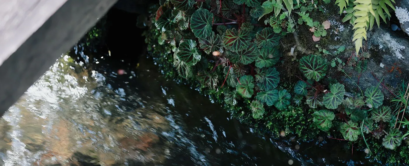 บริเวณโดยรอบ