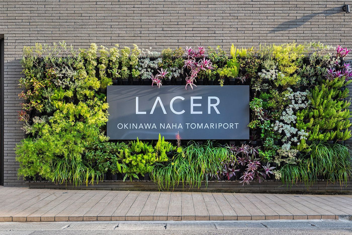 รูปลักษณ์ภายนอก