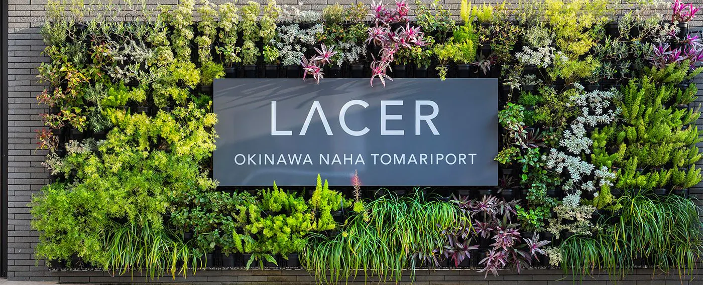 รูปลักษณ์ภายนอก