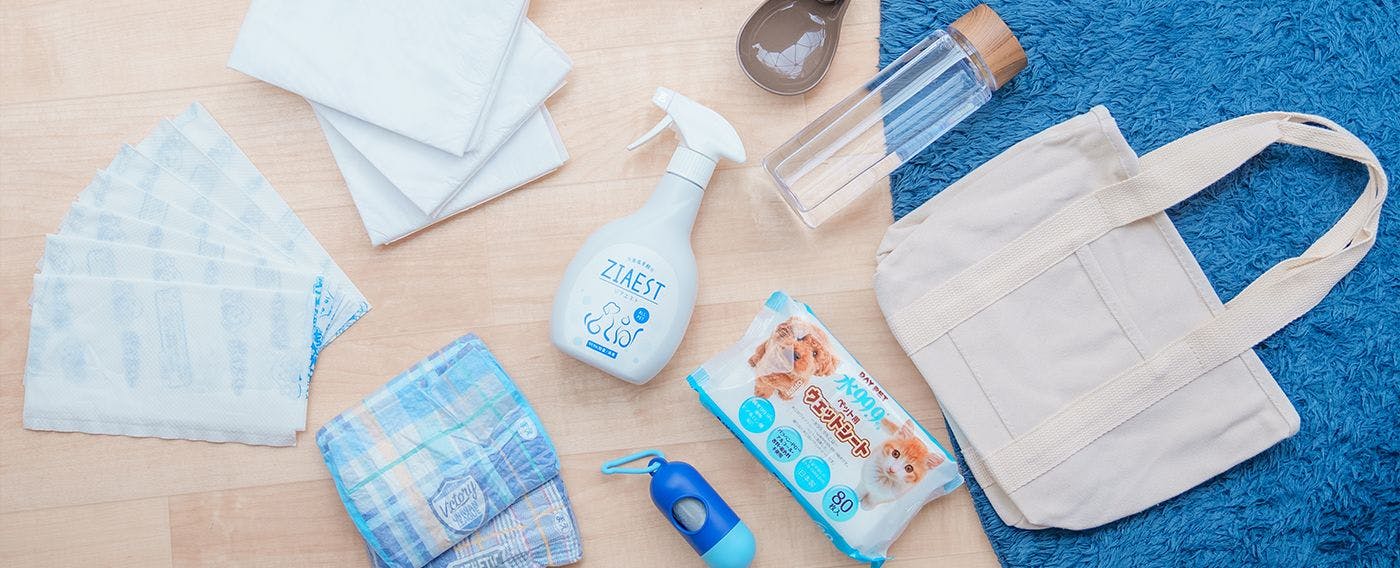 ห้องพักสำหรับสุนัขโดยเฉพาะ พร้อมสิ่งอำนวยความสะดวก