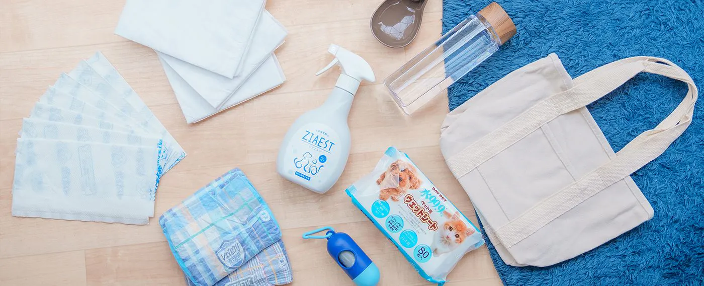 ห้องพักสำหรับสุนัขโดยเฉพาะ พร้อมสิ่งอำนวยความสะดวก