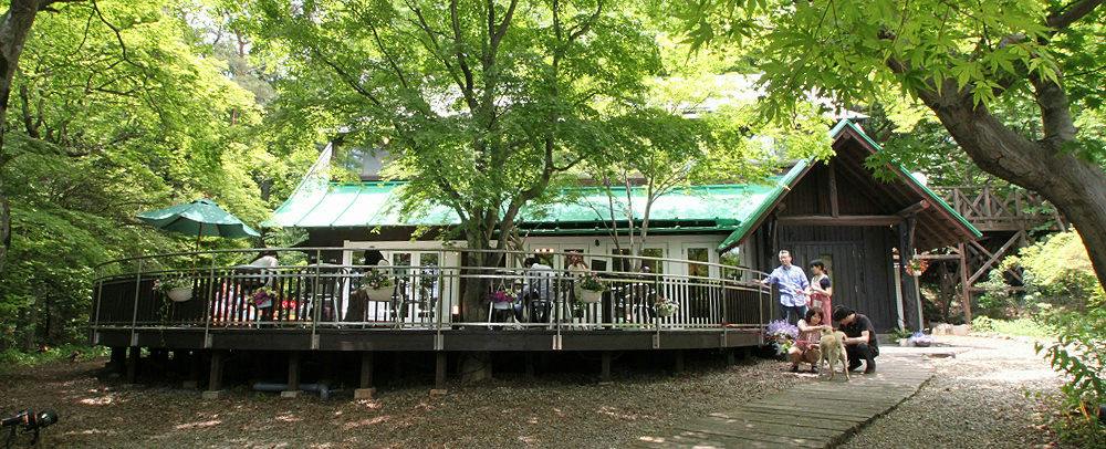 ペット用温泉を備えた大きなテラス