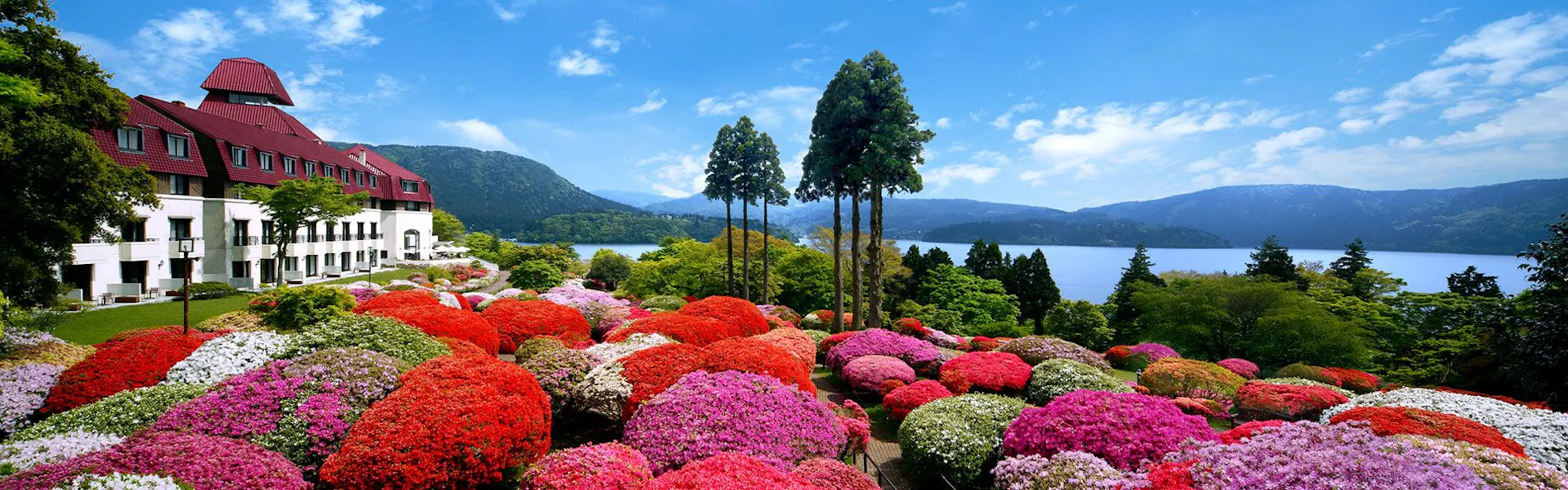 小田急 山のホテル