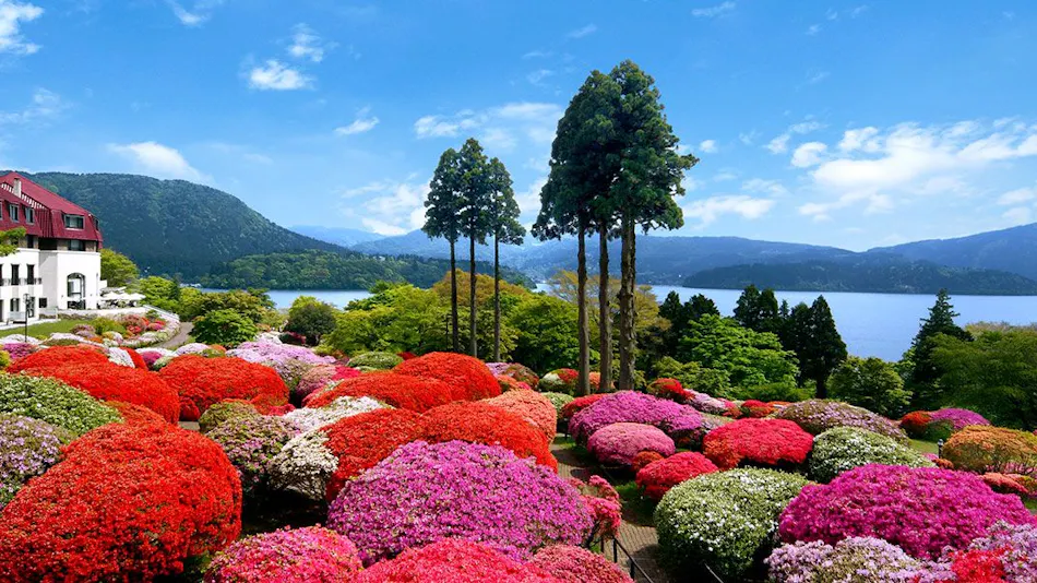 Odakyu Hotel de Yama