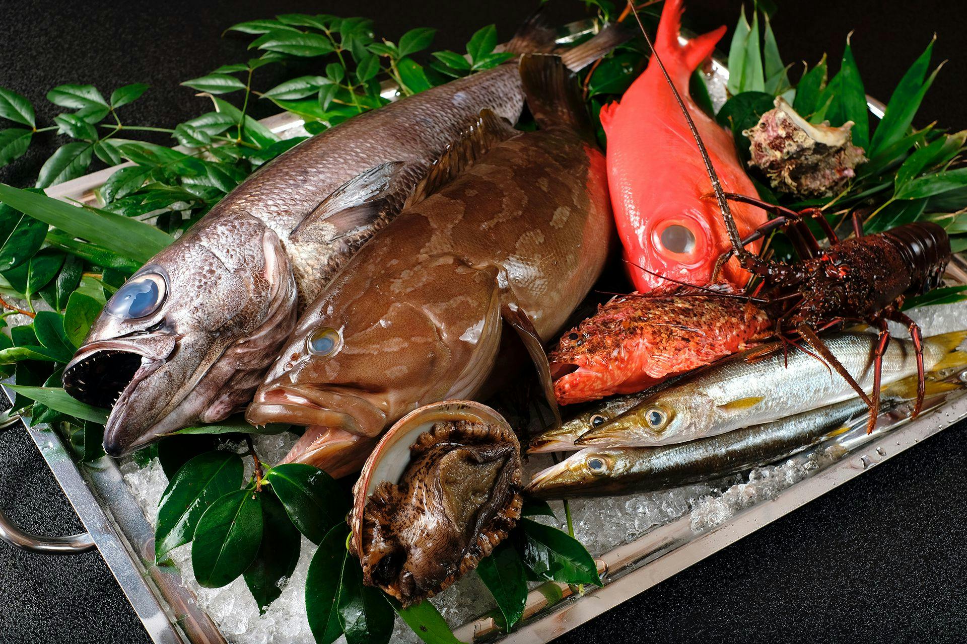 ABBA RESORTS IZU - 坐漁荘