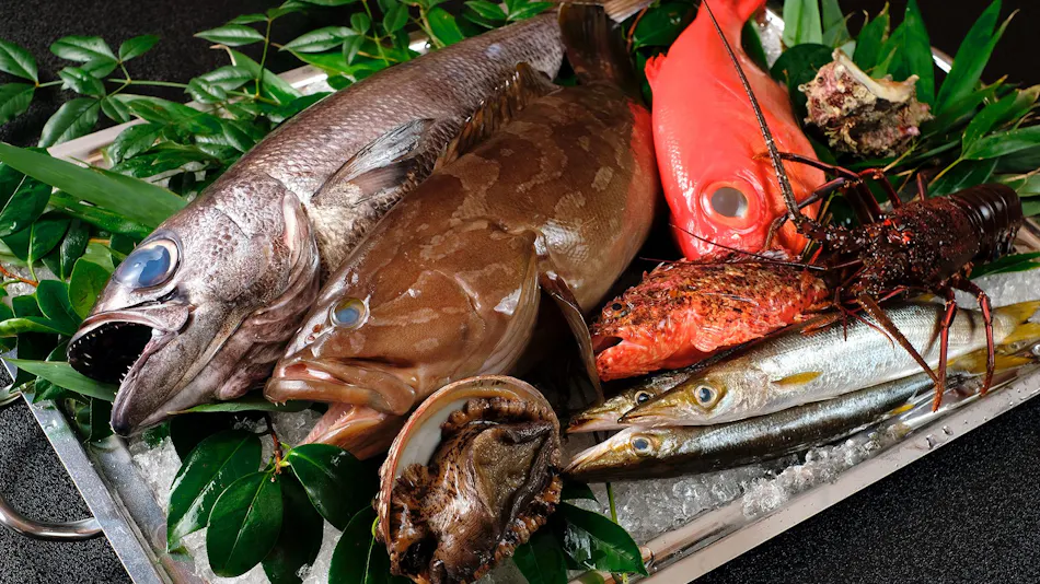 ABBA RESORTS IZU - Zagyosoh