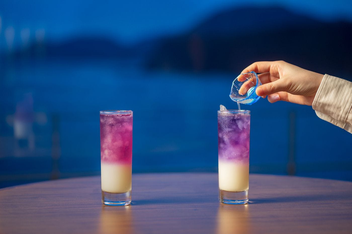 稲取　銀水荘
