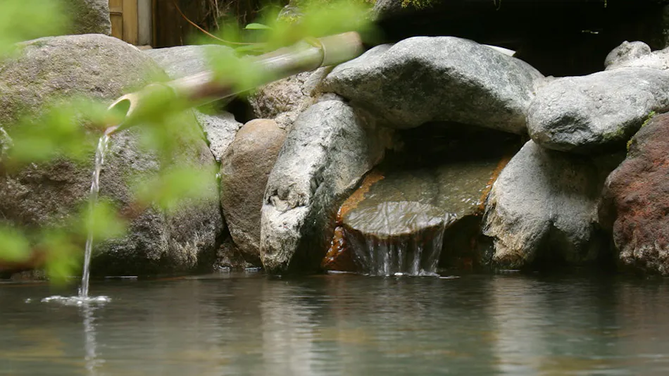 Kashiwaya Main Store
