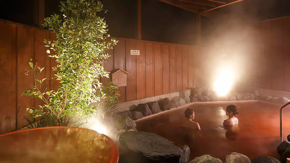 Art Hotel Narita