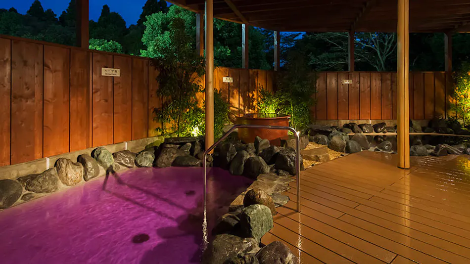Art Hotel Narita