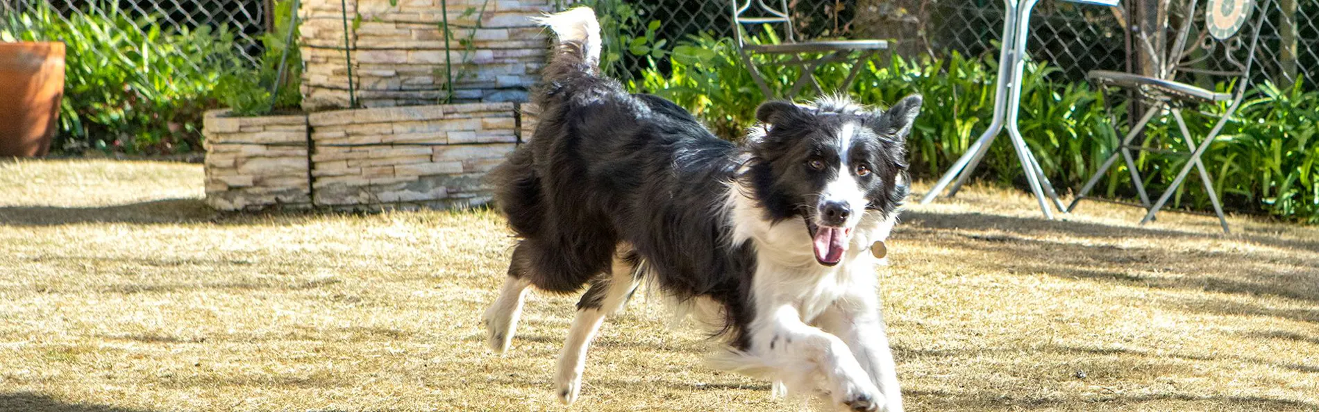 別邸 石の家 伊豆高原 ペットと泊まれる全室露天付き客室の宿