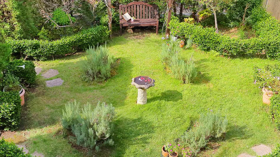 Izu Kogen Pet-Friendly Inn with Open-Air Baths in Every Room - Bettei Ishi no Ie