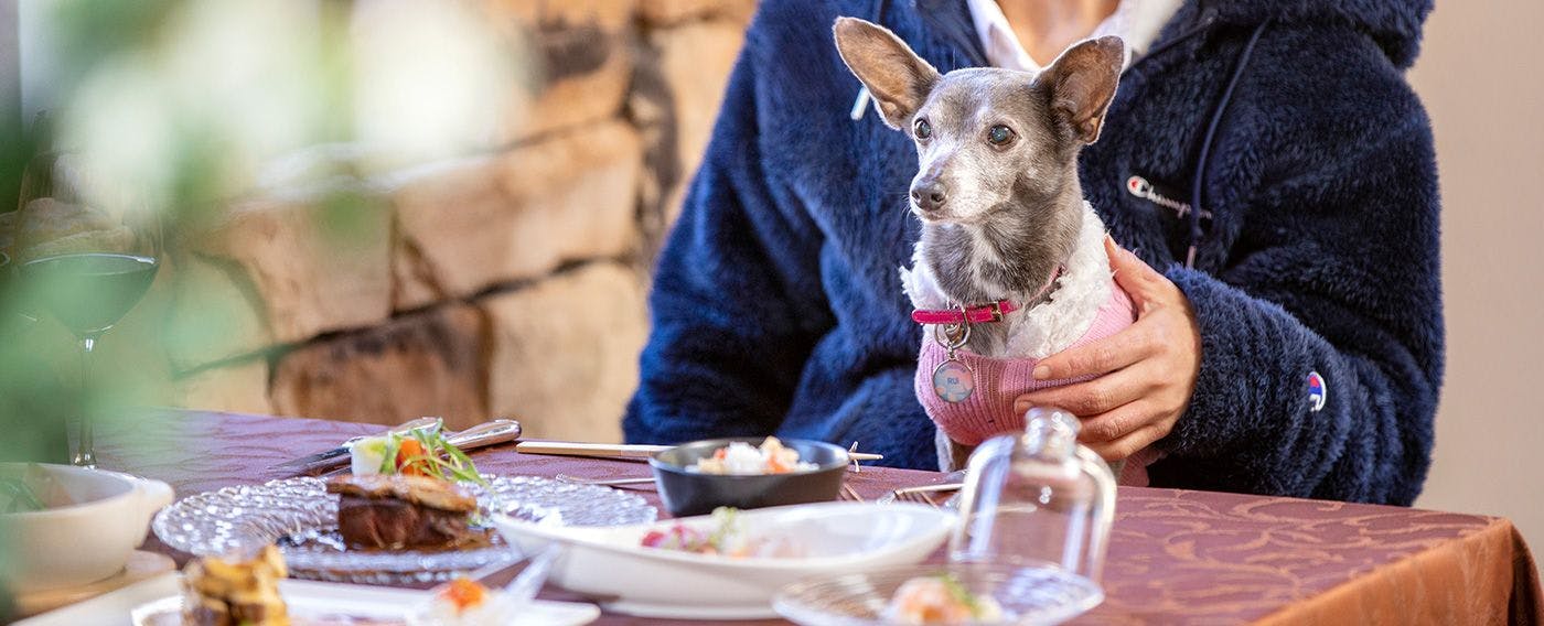 객실 식사의 예