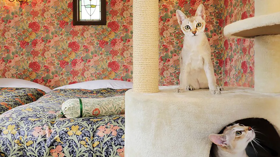 Izu Kogen Pet-Friendly Inn with Open-Air Baths in Every Room - Bettei Ishi no Ie