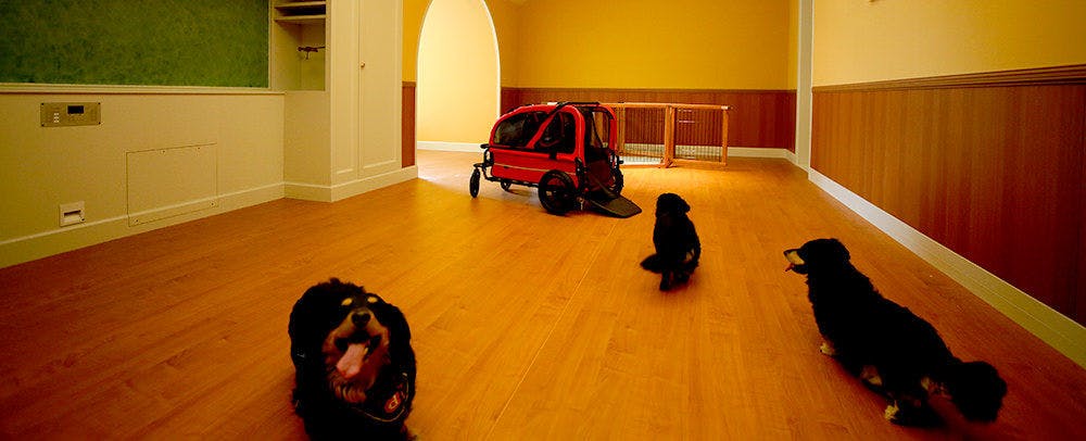 Example of a Guest Room