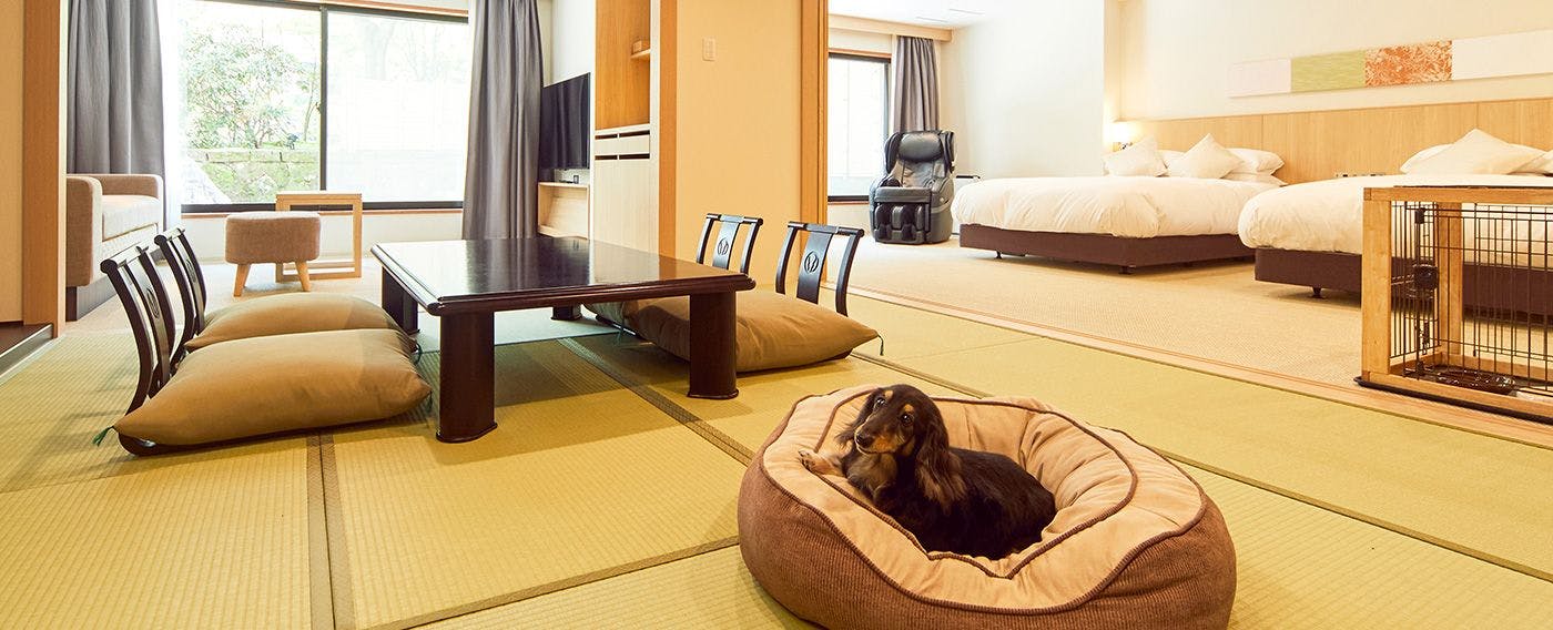 Dai-ichi Takimotokan