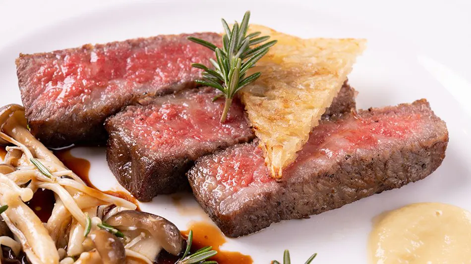 hashidate Bay Hotel