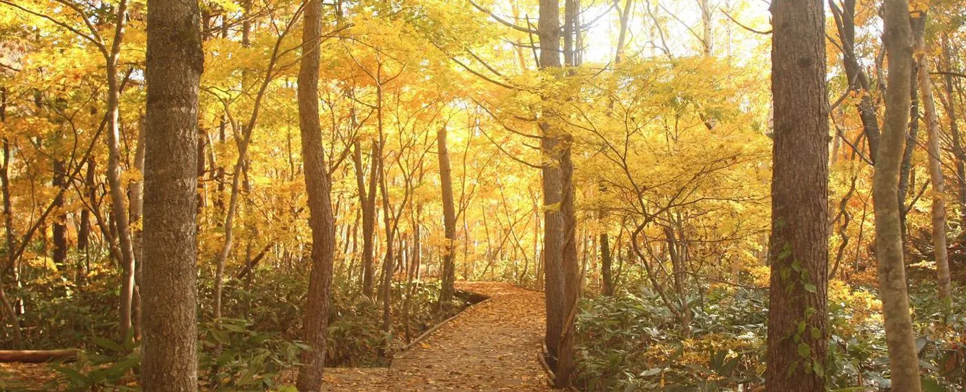 รีสอร์ทภูเขาที่สัมผัสได้ถึงความงดงามของทั้งสี่ฤดู