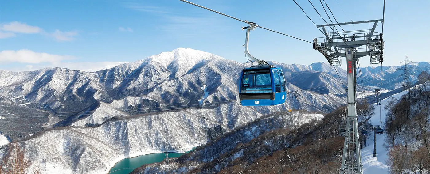 นาเอบะ ดรากอนโดรา