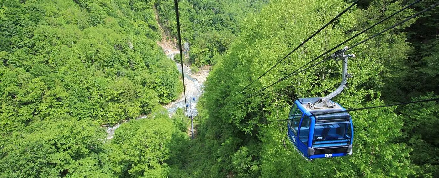 นาเอบะ ดรากอนโดรา