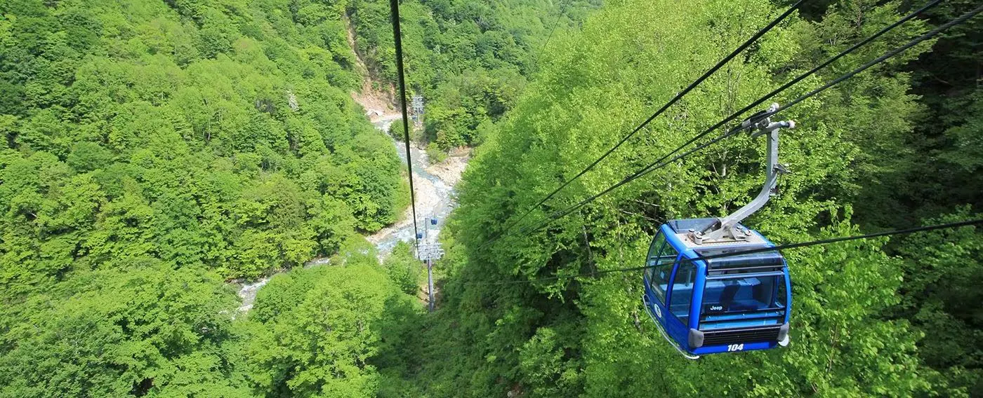 นาเอบะ ดรากอนโดรา